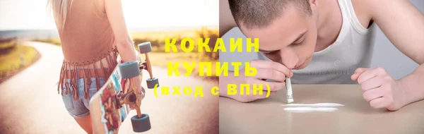 тгк Абаза