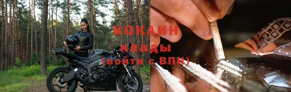 тгк Абаза